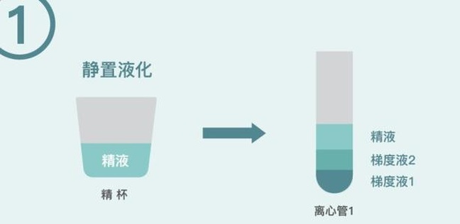 2025连云港助孕机构哪家好？做试管婴儿费用是多少？