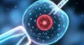 【品牌推荐】2026江苏徐州最大的助孕公司排名公布