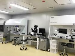 2025年乌克兰无子宫试管自助攻略有没有？三代试管流程